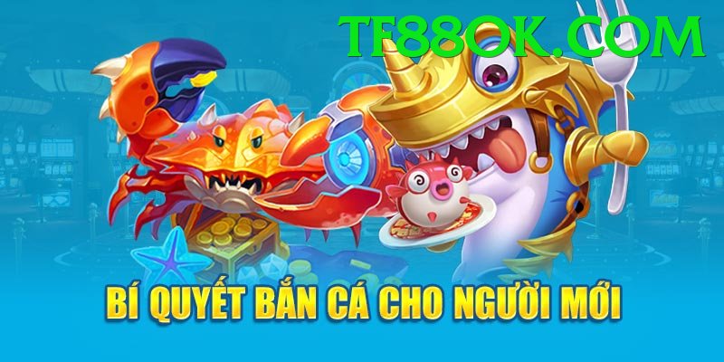 Game Bắn Cá Đổi Thưởng - Ưu đãi đặc biệt - Không lag