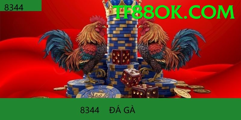 Đá Gà Trực Tiếp - tf88 - Sự kiện giới hạn